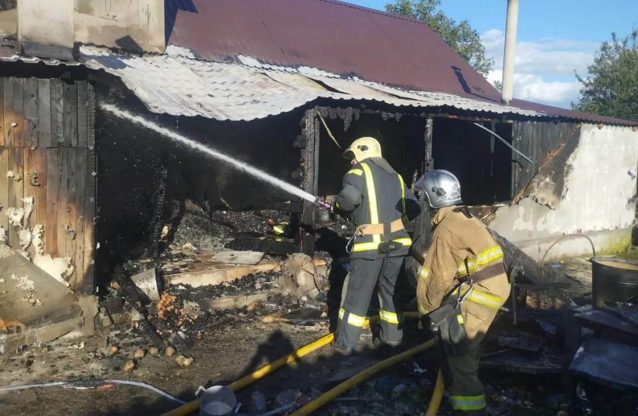 Пожежа в приватному будинку на Звягельщині