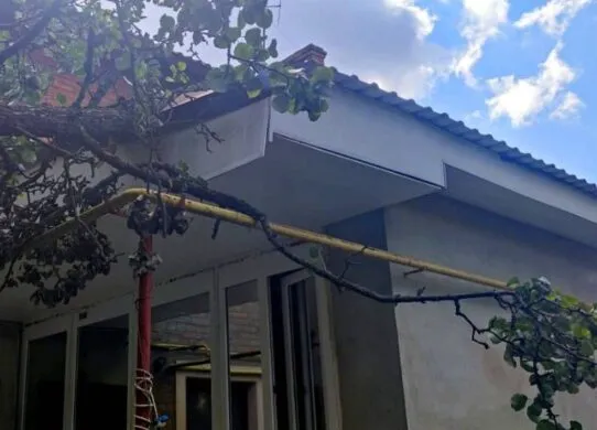 Негода на Житомирщині: вітер валив дерева на будинки та дороги