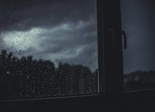 На Житомирщину насуваються сильні дощі: оголошено жовтий рівень небезпеки