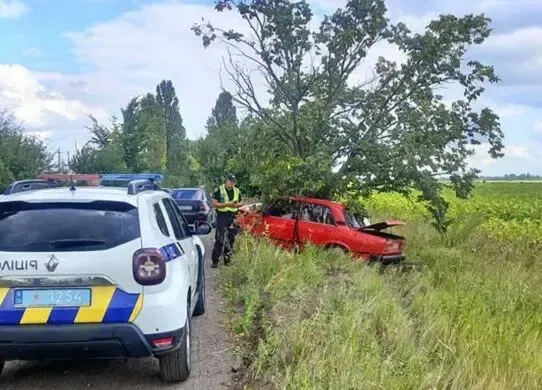 У Житомирському районі батько з однорічним сином врізалися у дерево