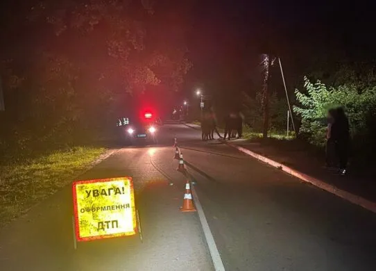 У Житомирі водій збив 11-річну дівчинку та втік