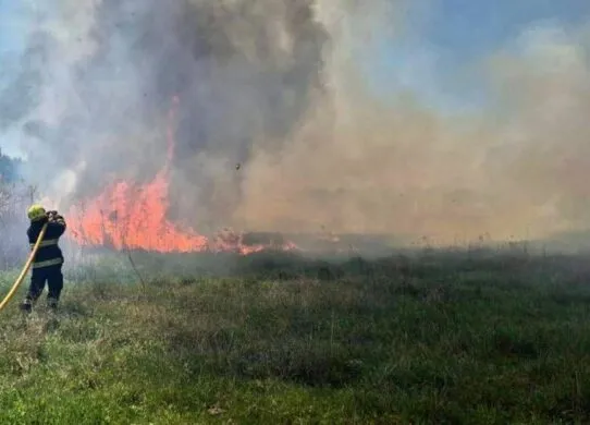 Чотири пожежі за добу: на Житомирщині горіла суха трава