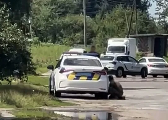 П’яний чоловік з гранатою напав на патрульних у Житомирській області