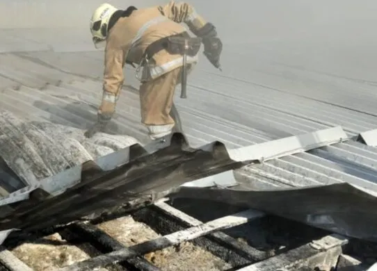 Пожежа на фермі у Житомирській області: врятували близько 100 корів