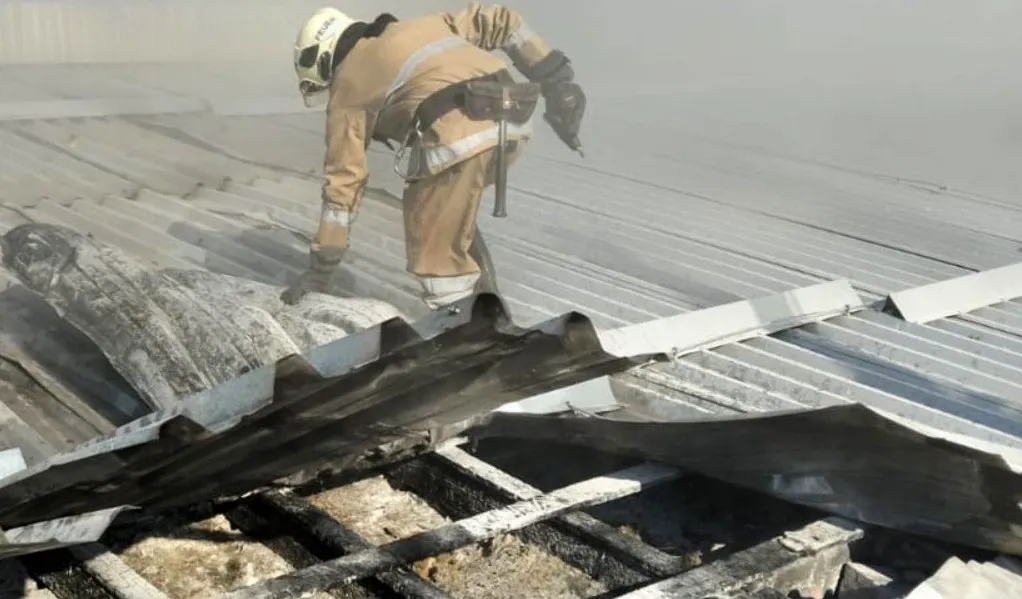 Пожежа на фермі у Житомирській області: врятували близько 100 корів