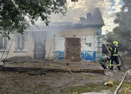 Пожежа у селі Волосів на Житомирщині 23 серпня