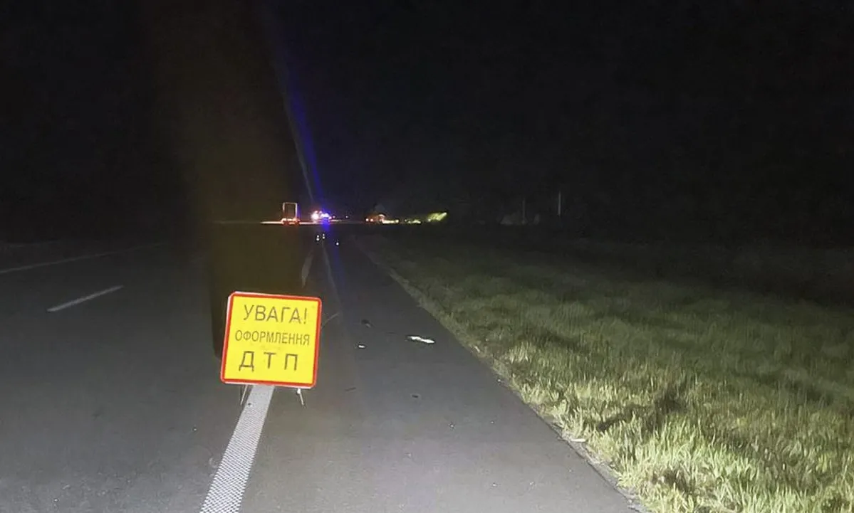 На Житомирщині лось став причиною смертельної аварії