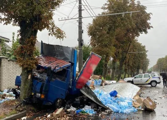 У Житомирі вантажівка врізалась у дерево: постраждав 20-річний пасажир