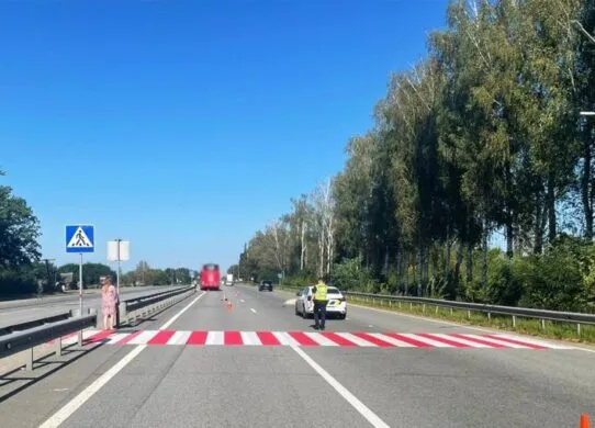 Смертельна ДТП на Житомирщині: загинула жінка