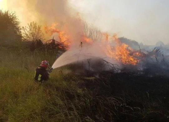 За добу на Житомирщині ліквідували 6 пожеж: подробиці