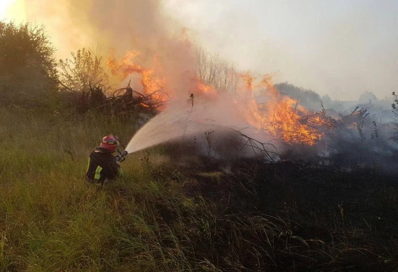За добу на Житомирщині ліквідували 6 пожеж: подробиці