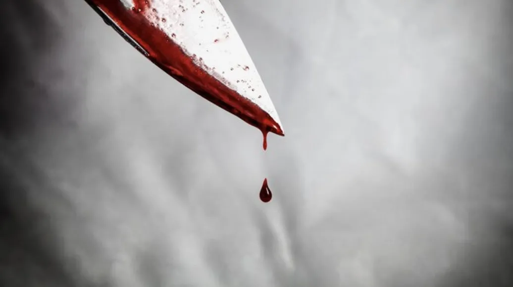 На Житомирщині чоловік вбив свого сина під час застілля