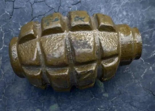 У Коростені поліція вилучила бойову гранату у місцевого жителя