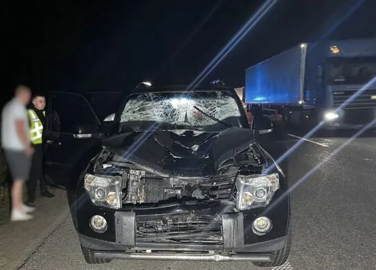 У Житомирському районі насмерть збили пішохода