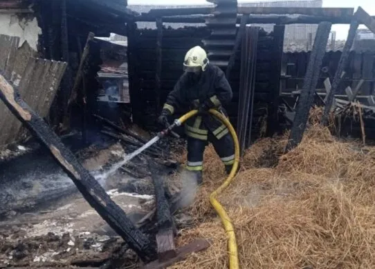 Через дитячі забавки на Житомирщині згоріла ціла будівля