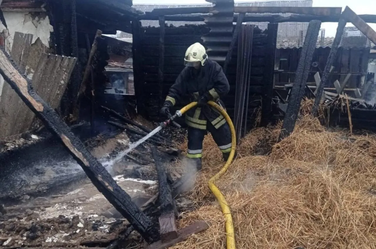 Через дитячі забавки на Житомирщині згоріла ціла будівля