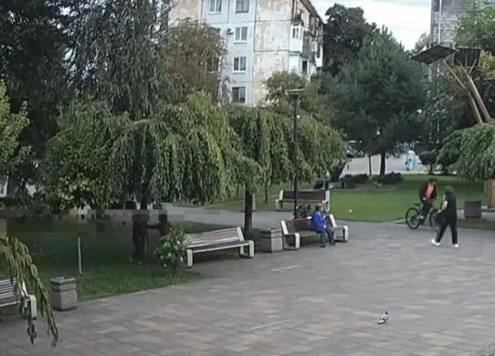 У центрі Житомира діти знищили сакуру