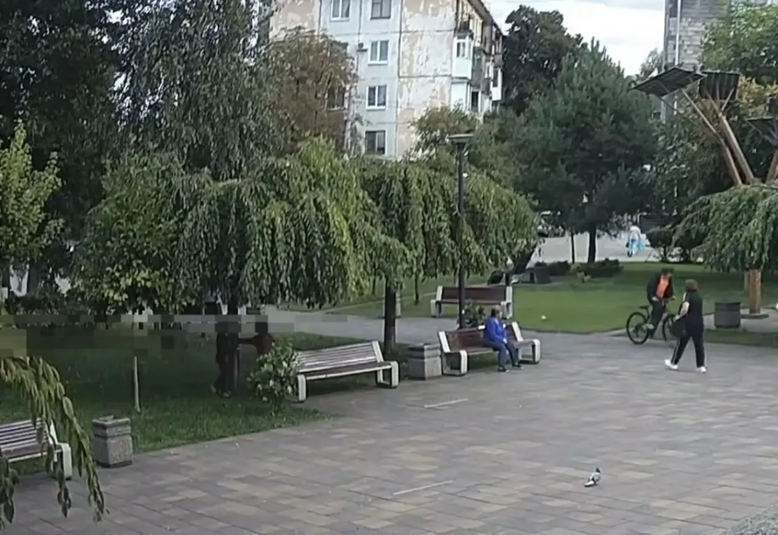 У центрі Житомира діти знищили сакуру