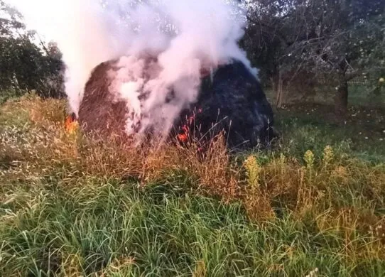 На Житомирщині вогонь знищив 2 тонни сіна
