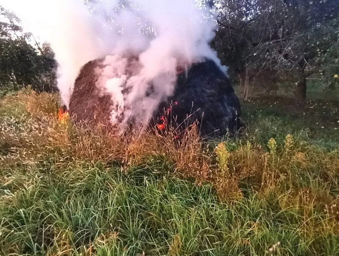 На Житомирщині вогонь знищив 2 тонни сіна