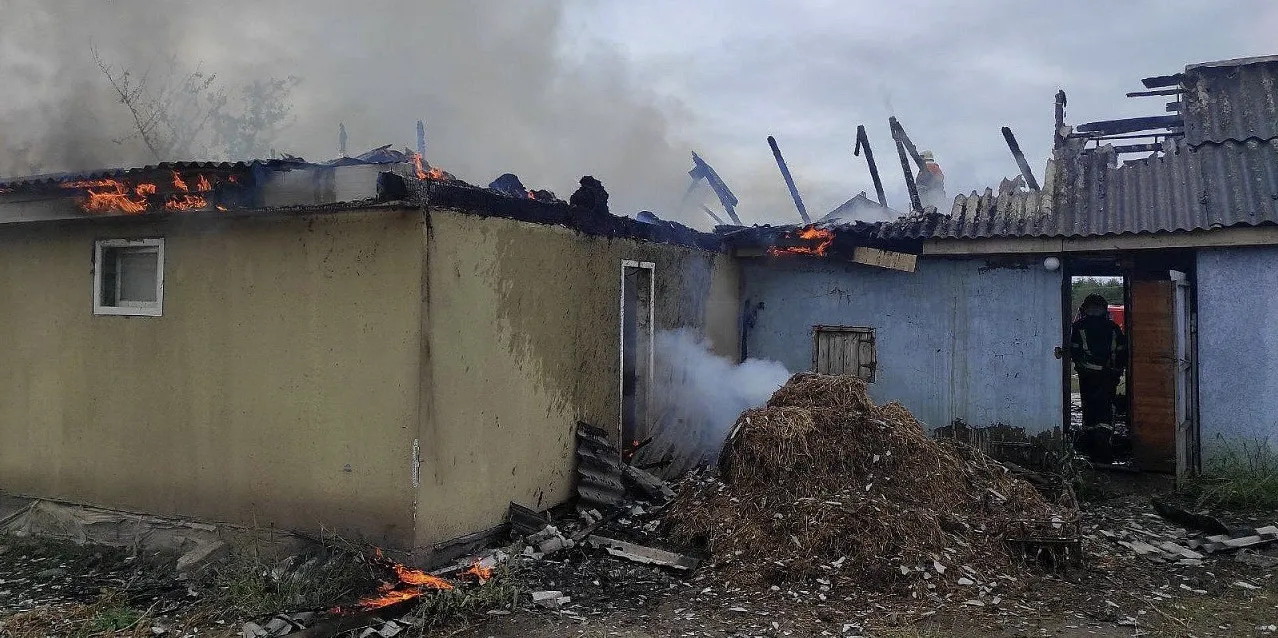 30 кроликів врятували під час пожежі у Житомирському районі