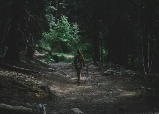 Розшук дівчини