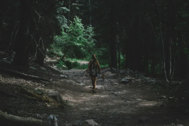 Розшук дівчини