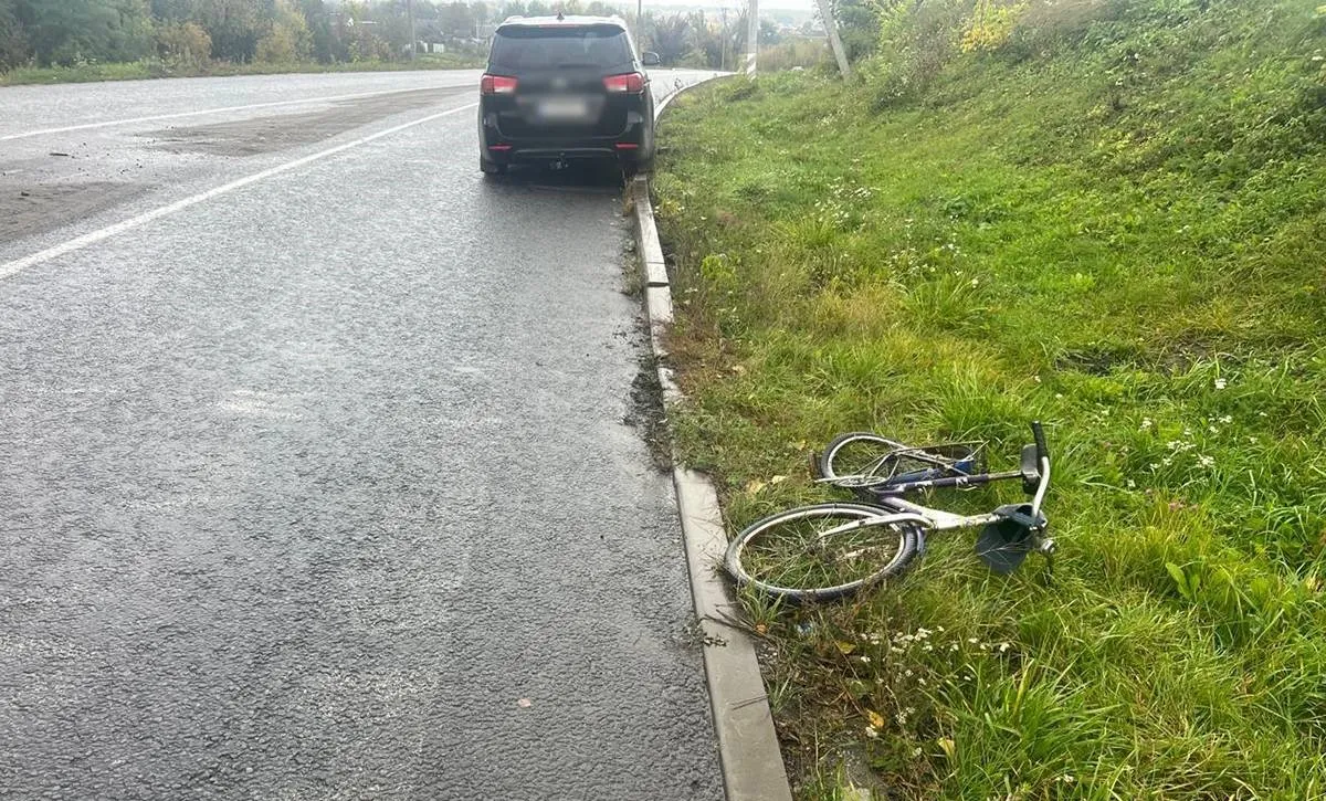 На Житомирщині авто збило 84-річного велосипедиста