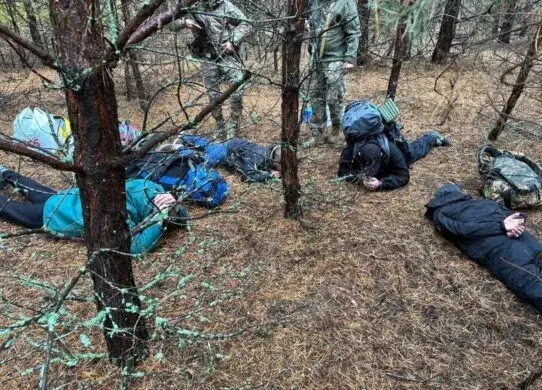 На Житомирщині прикордонники спіймали “шукачів кращого життя”