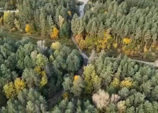 На Житомирщині знайшли жінку, яку шукали в лісі близько доби