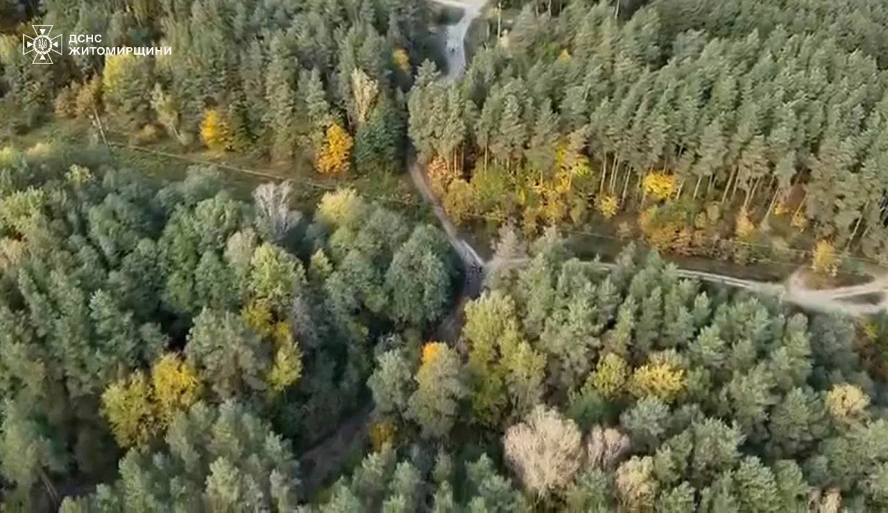 На Житомирщині знайшли жінку, яку шукали в лісі близько доби