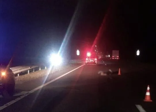 На трасі Житомирщини збили насмерть пенсіонерку