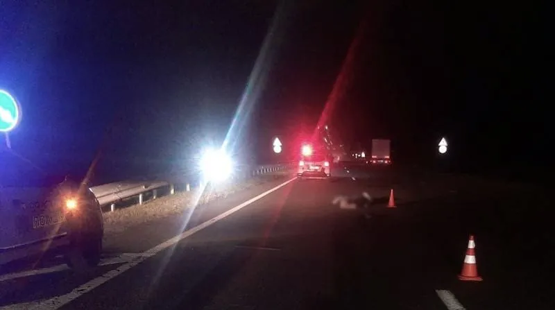 На трасі Житомирщини збили насмерть пенсіонерку