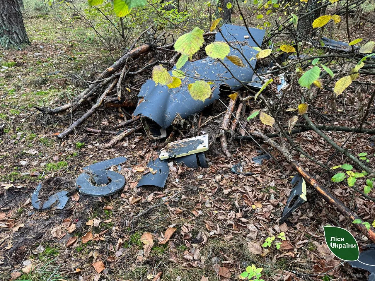 На Житомирщині лісівники знайшли уламки шахеда