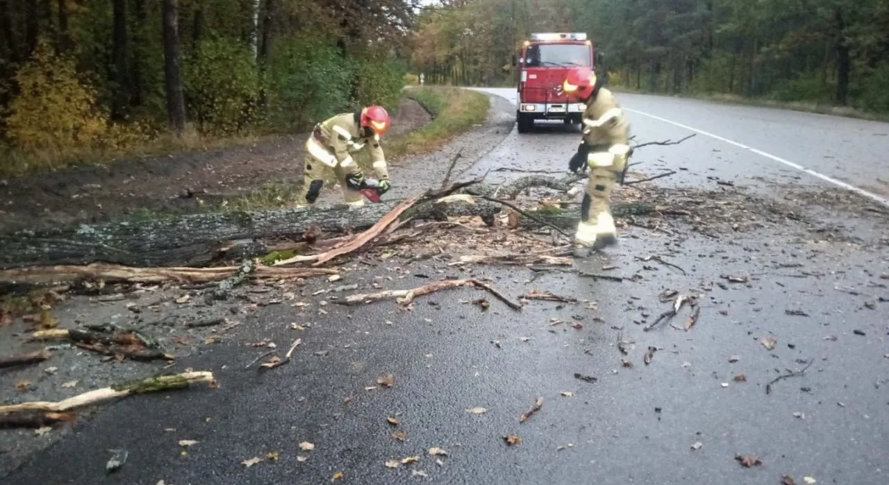 На Житомирщині рятувальники двічі розчищали дороги від повалених дерев