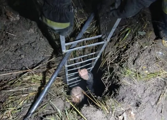 У Коростені чоловік упав у колодязь і врятувався завдяки телефону