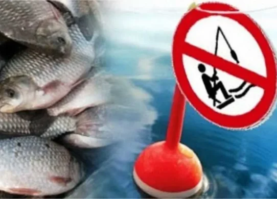 Заборона на вилов риби