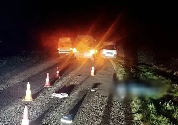 На Бердичівщині Mercedes збив пішохода: чоловік загинув на місці