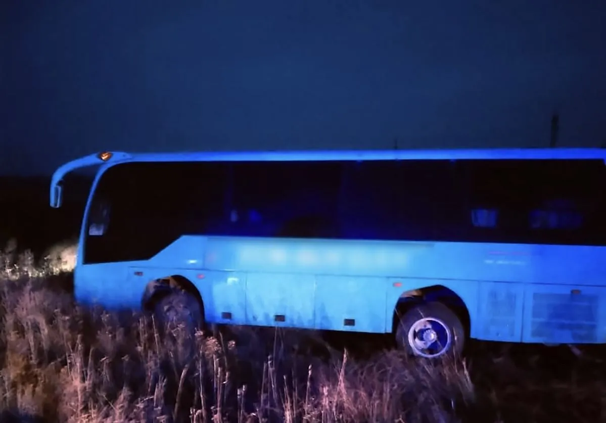 На Житомирщині сталася автотроща з дітьми: подробиці