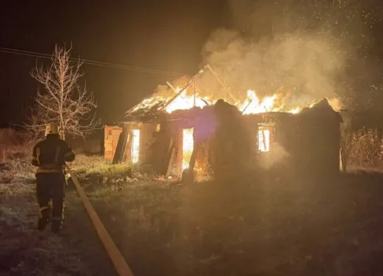 На Житомирщині за добу загасили пʼять пожеж: що відомо