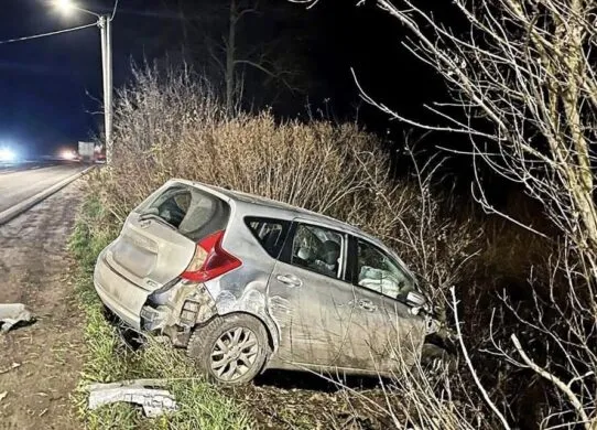 У Житомирській області внаслідок ДТП загинув чоловік і кінь