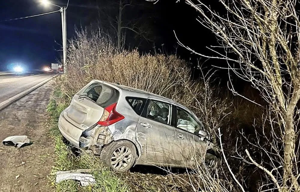 У Житомирській області внаслідок ДТП загинув чоловік і кінь