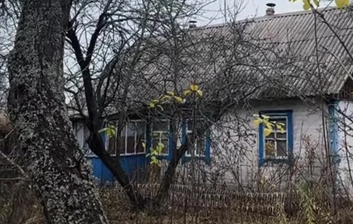 Купила стару хату в селі на Житомирщині за 3 тис дол: чим особлива