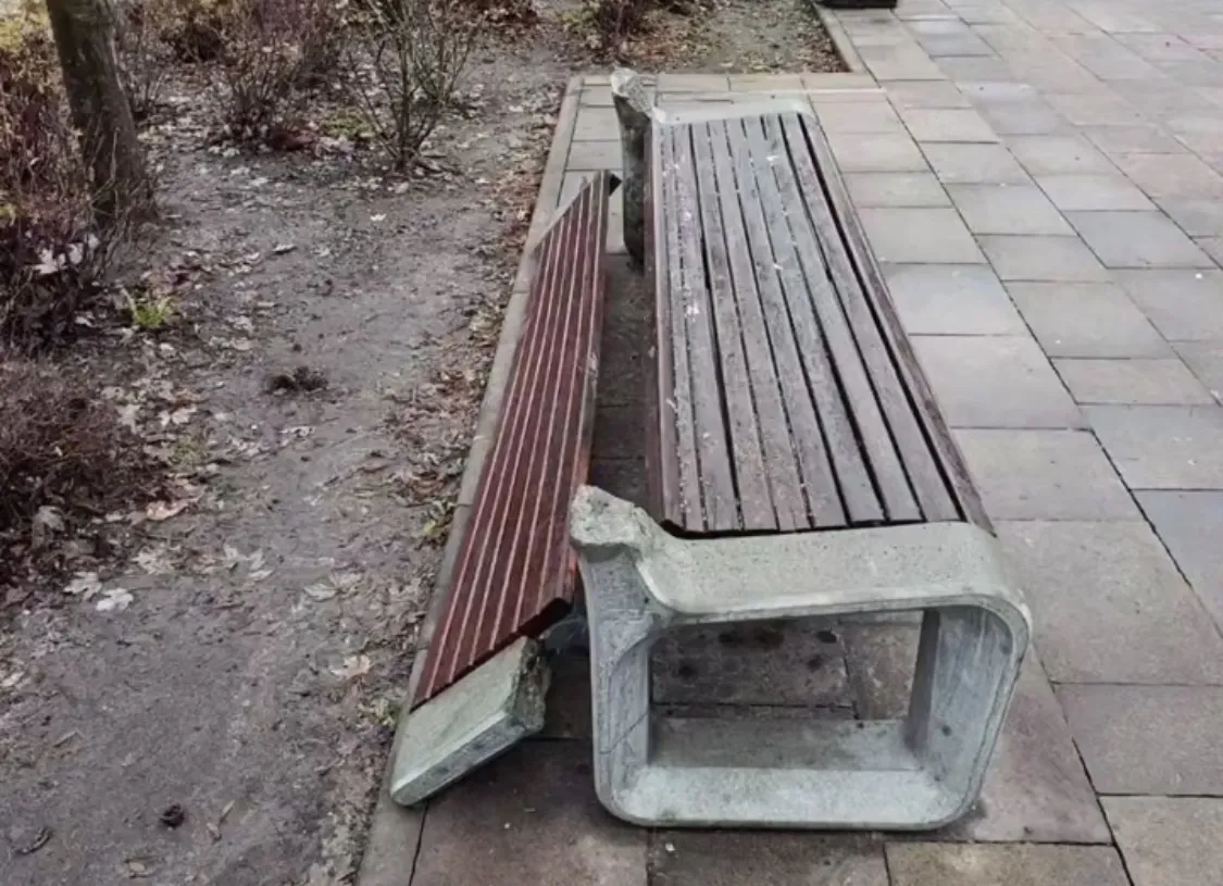 У Житомирі підлітки розтрощили елементи скверу: інцидент потрапив на відео