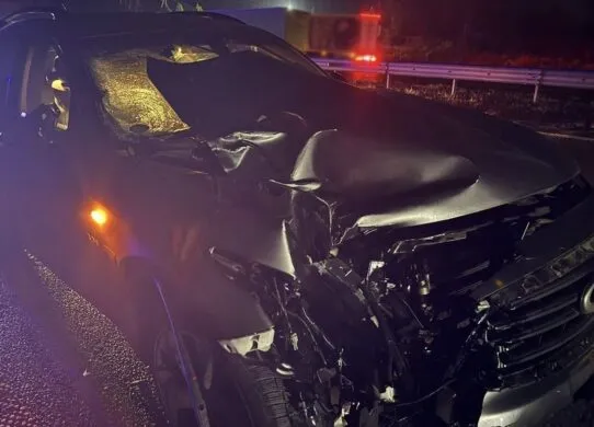 Житомирська поліція зʼясовує, кого збили на трасі Київ-Чоп