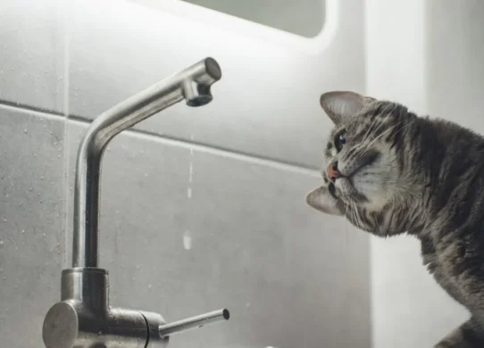 Відключення води