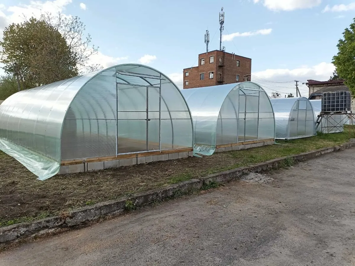 Чому варто довірити вибір теплиці професіоналам?