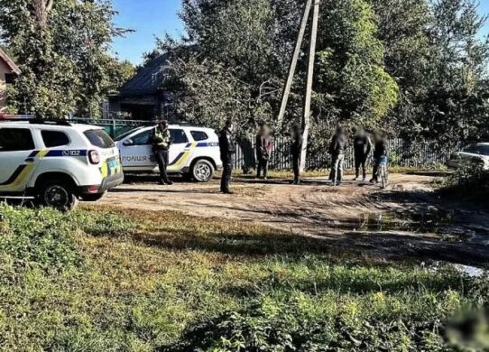 На Житомирщині жінка дощечкою забила до смерті «незвану гостю»