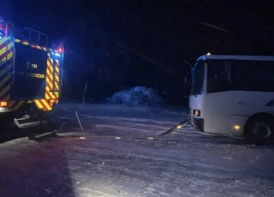 Негода на Житомирщині: як рятувальники «визволяли» траси від дерев та ожеледиці