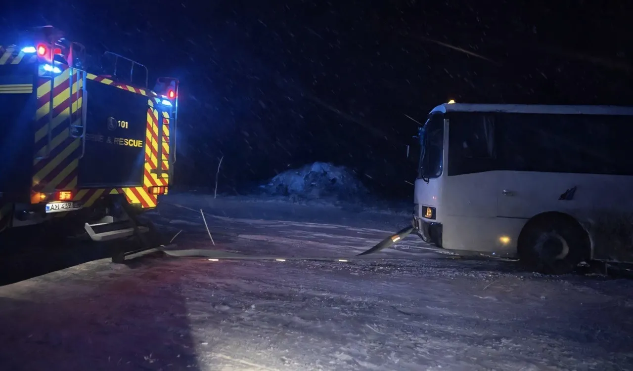 Негода на Житомирщині: як рятувальники «визволяли» траси від дерев та ожеледиці